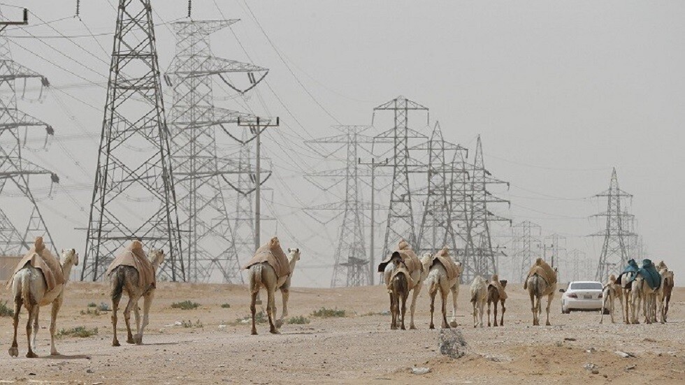 مصر.. جمل يتسبب بمصرع شخص وإصابة 18 آخرين