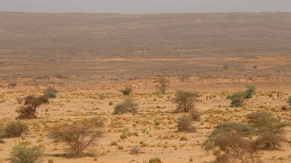 تقارير إعلامية: ارتفاع نسبة تجارة الأسلحة والمواد المتفجرة في الجزائر