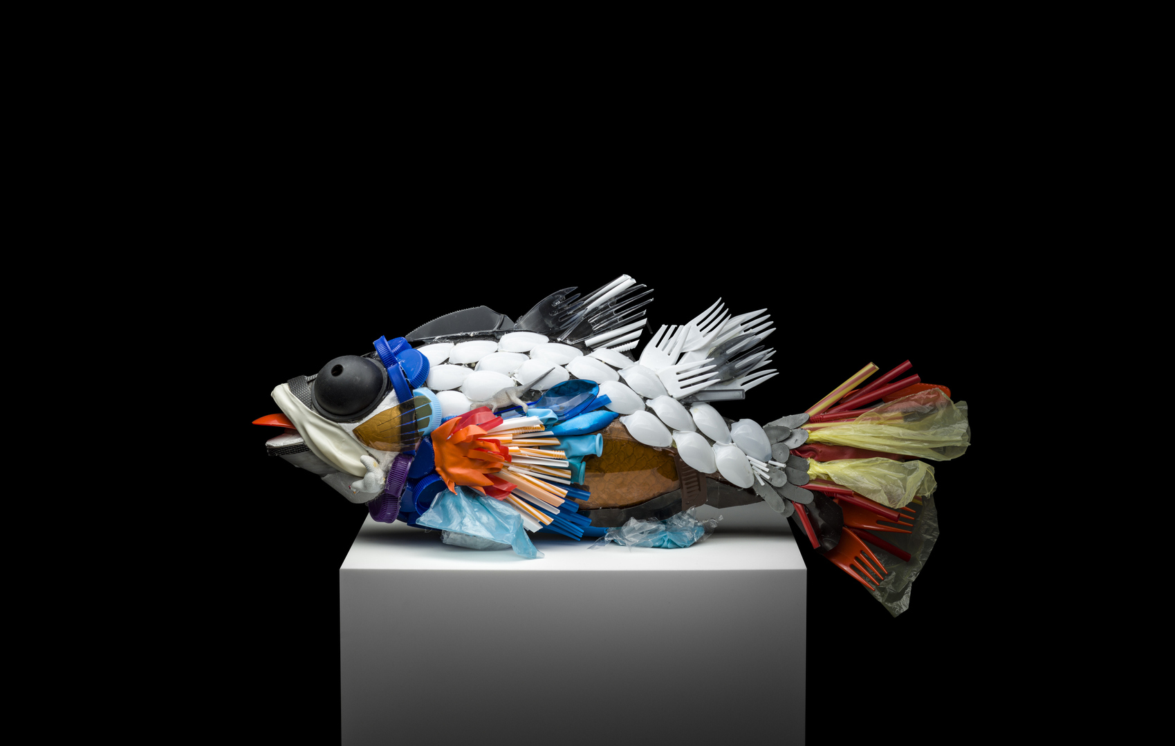 العلماء ينتجون بلاستيكا قابلا للتحلل الحيوي مصنوعا من بقايا الأسماك