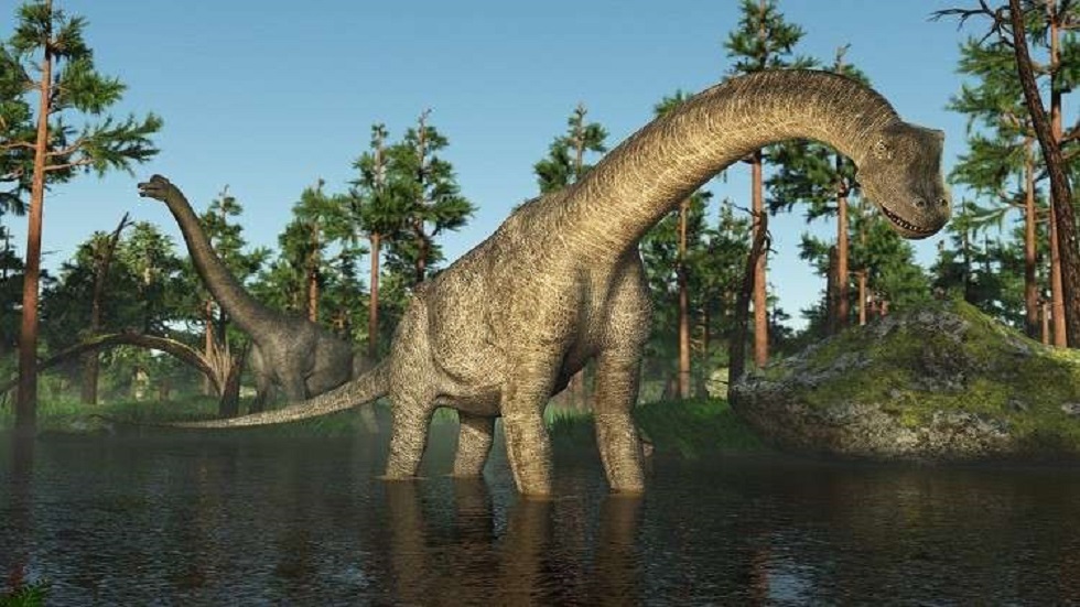 اكتشاف ديناصور عملاق في تشيلي