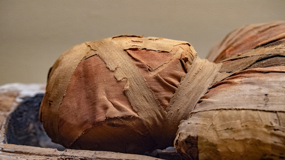 الكشف عن أول مومياء مصرية قديمة حبلى في العالم بعد 2000 عام