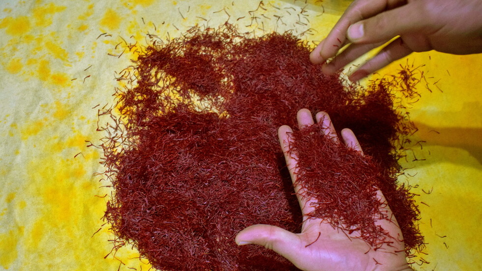 كيف تحول الزعفران "الإيراني" إلى "إسباني"؟.. عملية استمرت عامين