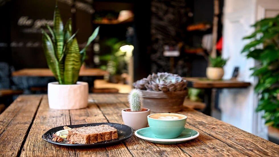 نباتات قاتلة للبكتيريا