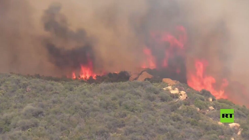 بالفيديو.. رجال الإطفاء يكافحون حرائق الغابات في ضواحي لوس أنجلوس