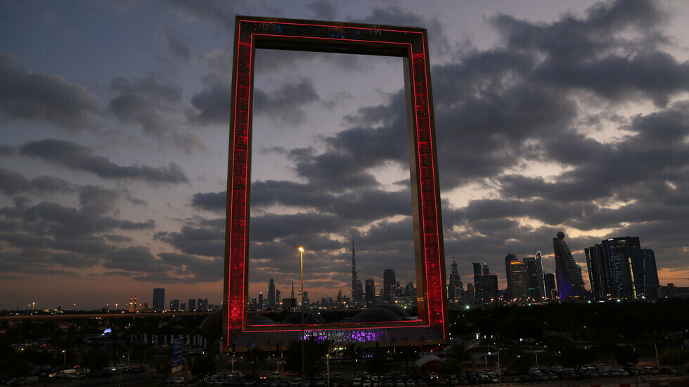 شرطة دبي تحذر من حيوان بري طليق من أسرة السنوريات