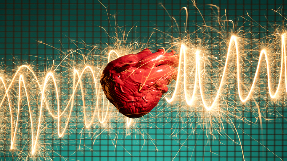 اختراق علمي ضخم.. إنشاء قلوب صغيرة في المختبر تنبض 