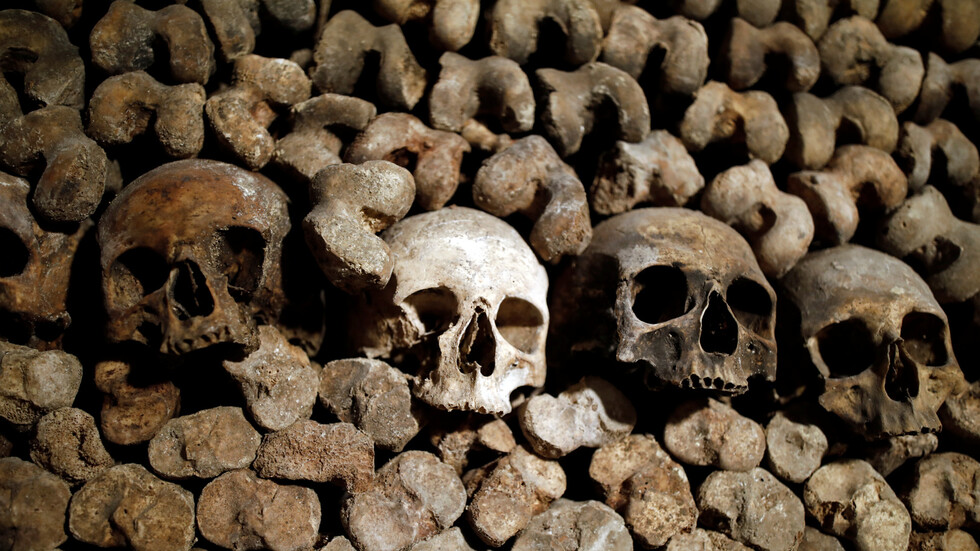 اجتماع جزائري فرنسي حول ملف "جماجم شهداء المقاومة" في يونيو