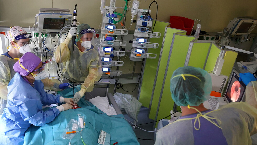 طبيب مصري يكشف الأشخاص الأكثر عرضة للإصابة بـ"الفطر الأصفر"