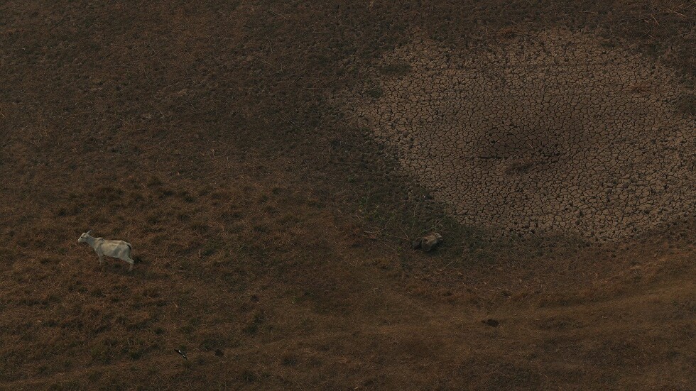 حالة تأهب في البرازيل بسبب أسوأ موجة جفاف منذ 91 عاما