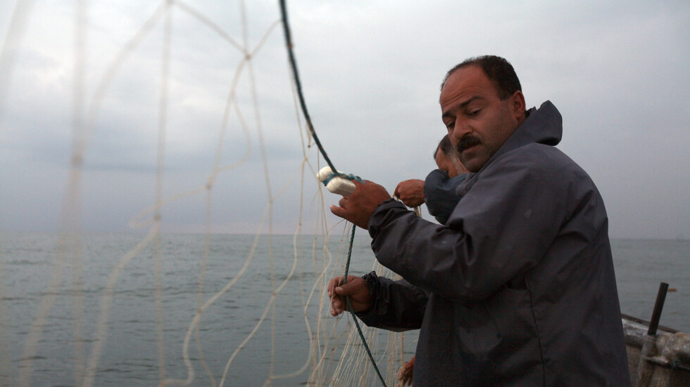 اتفاق جديد بين روسيا وإيران في مجال الثروة السمكية