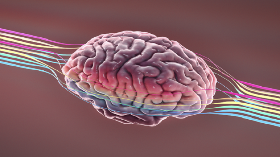 كيف يعيد الدماغ تنشيط نفسه بعد النوم العميق للتخدير؟!