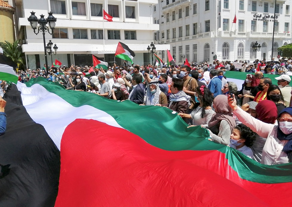 تونس.. وقفة تضامنية مع فلسطين تتحول إلى مسيرة حاشدة (فيديو)