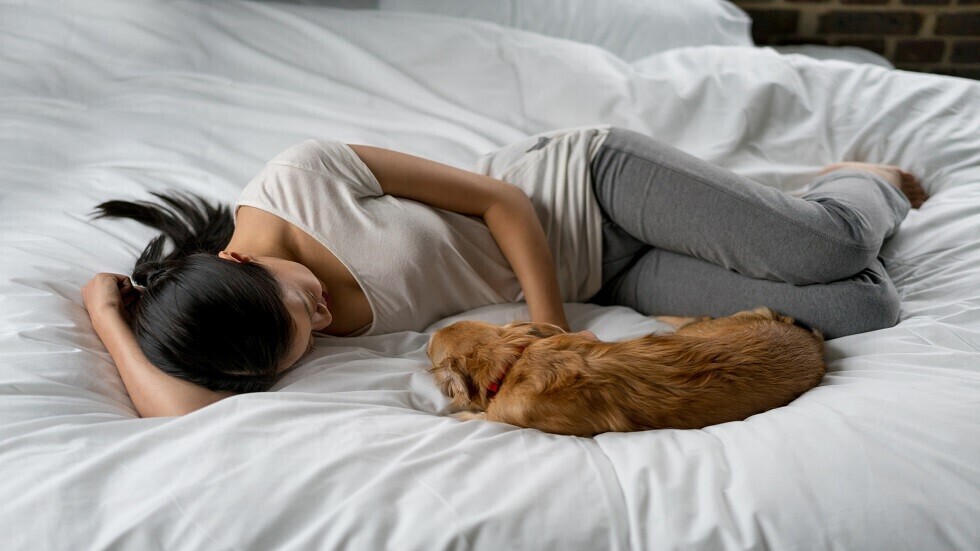 خمسة أسباب مثيرة للاهتمام تجعلك تتشارك سريرك مع كلبك