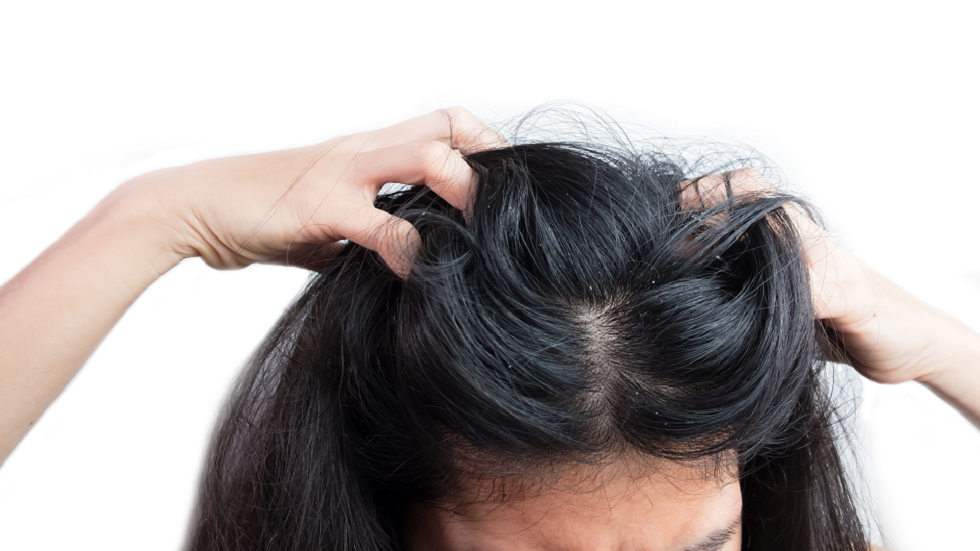 ما هو معدل نمو الشعر وهل توجد طريقة لتعزيز سرعة التنامي؟