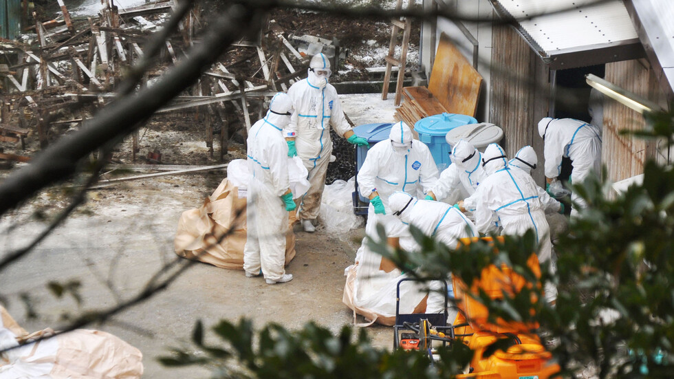 مركز "فيكتور" الروسي يفصح عن رأيه بشأن احتمال تحول أنفلونزا الطيور "H10N3" إلى وباء جديد