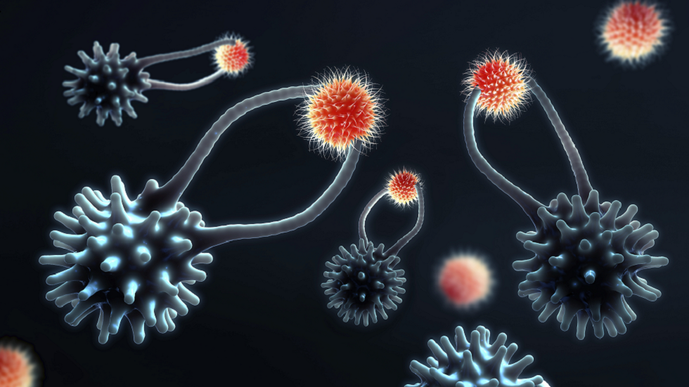 الكشف عمّا يمكن أن يؤثر على مدى جودة عمل جهاز المناعة لدينا .. بما في ذلك اللقاحات!