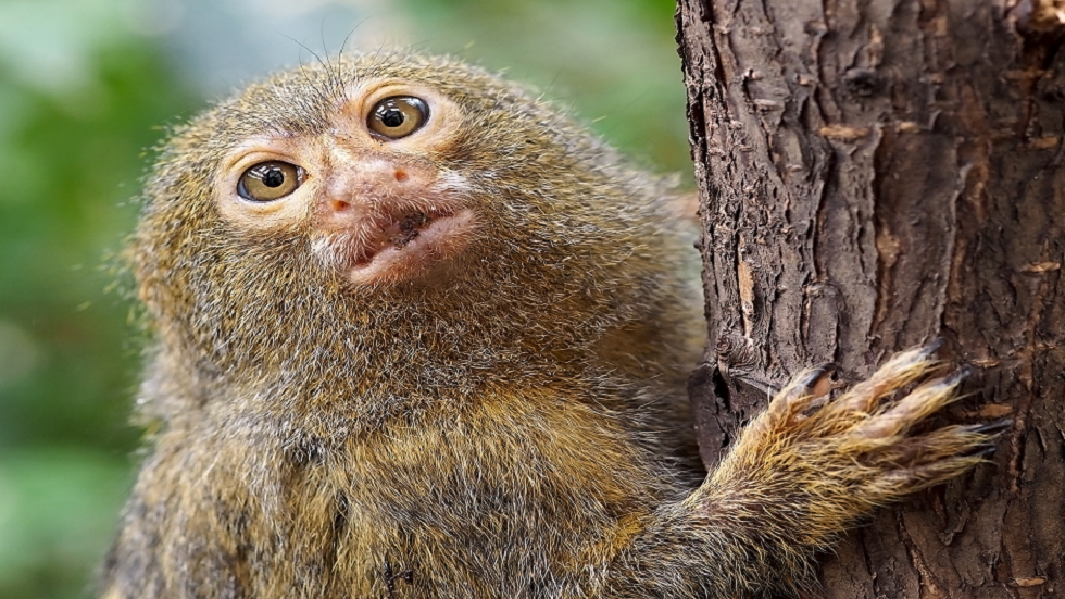 دراسة تكشف عن 