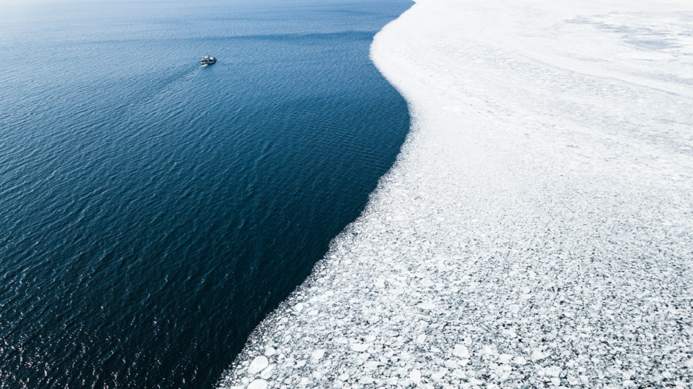 علماء يحذرون من 