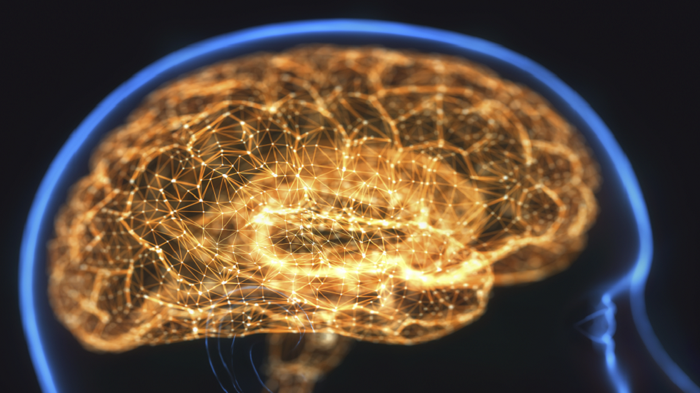 غوغل وعلماء هارفارد يجمعون 225 مليون صورة لإنشاء أكثر الخرائط ثلاثية الأبعاد تفصيلا للدماغ البشري!