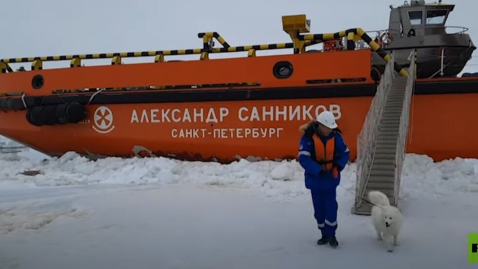 كاسحة الجليد تنقذ كلبا متجمدا في شمال روسيا