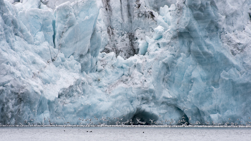 قائد أكبر بعثة استكشافية في القطب الشمالي يحذر من