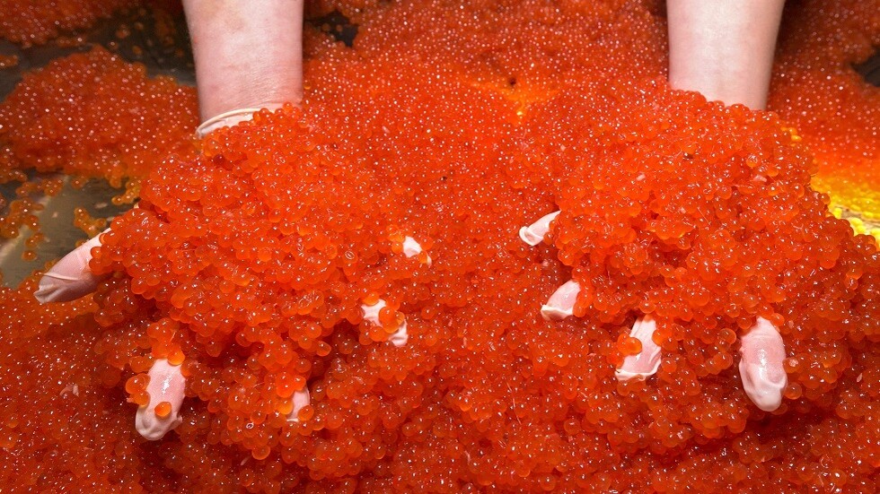 الولايات المتحدة ضمن أول عشرة مشترين للكافيار الروسي