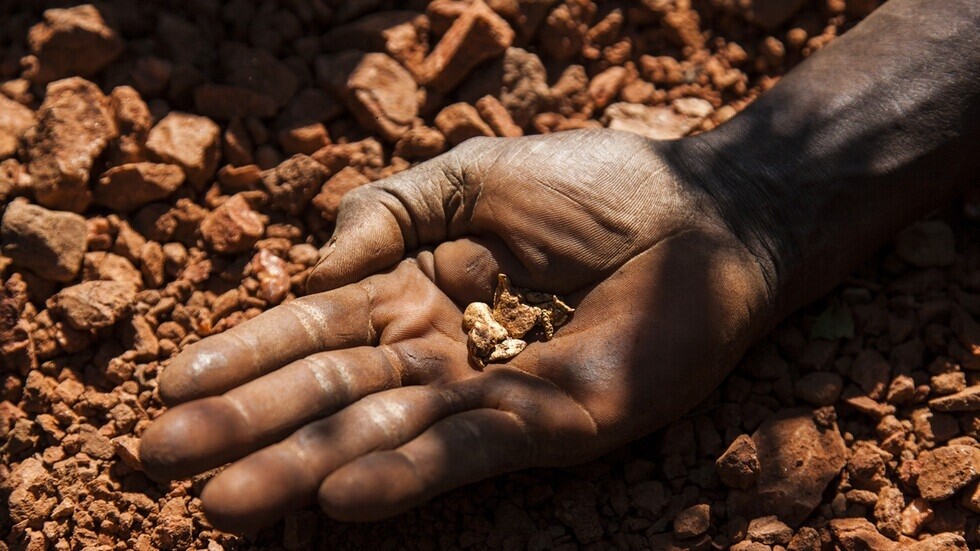 الكونغو الديمقراطية تصادر كمية من الذهب تقدر بـ1.9 مليون دولار من محمية