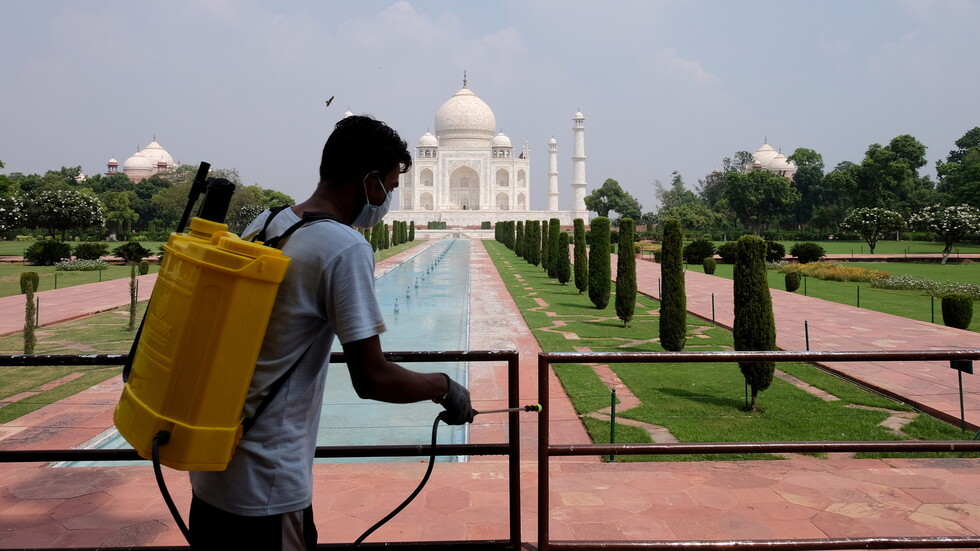 كورونا.. سلالة