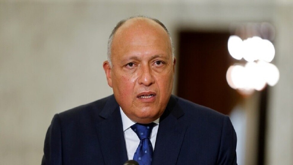 القاهرة: قدمنا طلبا لمجلس الأمن بعقد جلسة حول "سد النهضة"