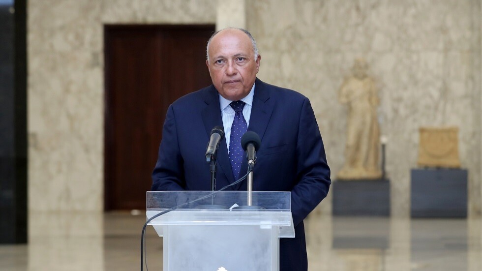 وزير الخارجية المصري: إنهاء التدخلات الخارجية في سوريا شرط لإحلال السلام