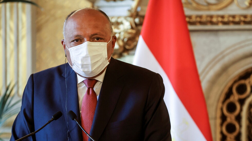 شكري يبحث مع المبعوث الأممي إلى سوريا سبل دفع مسار الحل السياسي