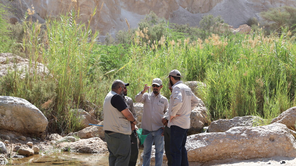 باحثون في الأردن يضعون جدولا زمنيا لإنقاذ سمك نادر مهدد بالانقراض