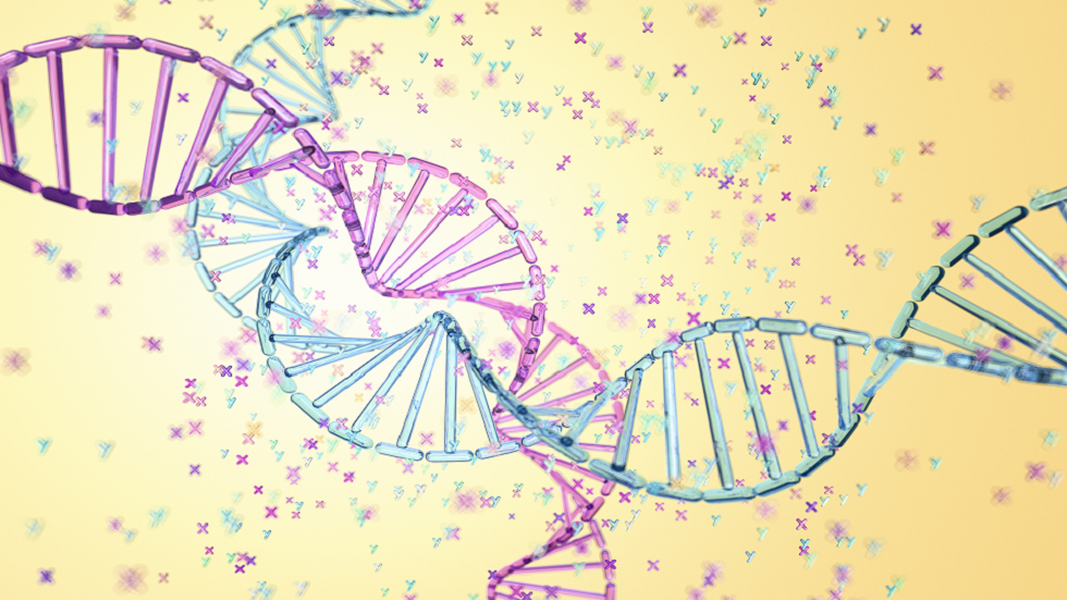 في إنجاز هام.. العلماء يقيسون كتلة الكروموسوم البشري لأول مرة!