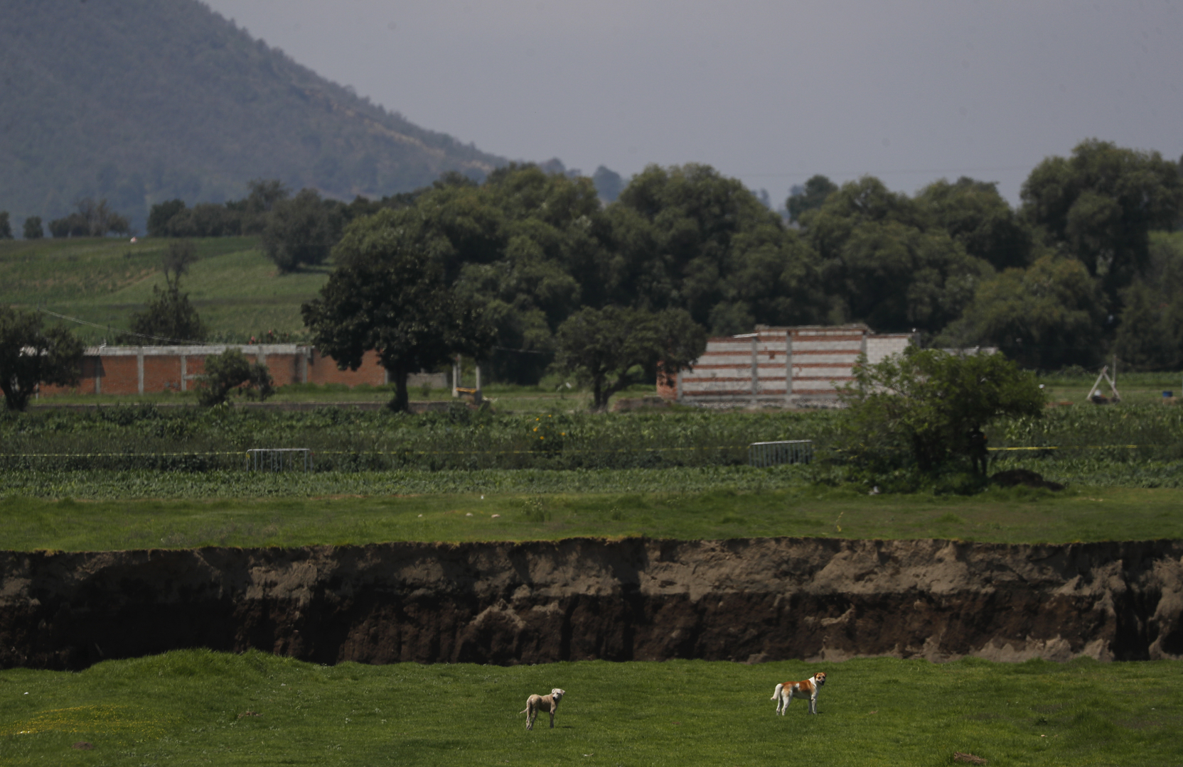 حفرة عملاقة في مزرعة بالمكسيك تتوسع وتبتلع المزيد من الأراضي (فيديو + صور)