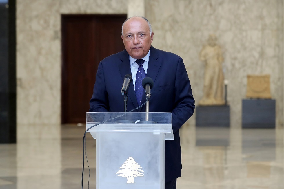 وزير الخارجية المصري: إنهاء التدخلات الخارجية في سوريا شرط لإحلال السلام