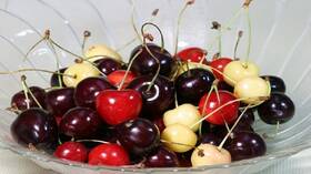 مواد غذائية لا ينصح بتناولها مع الكرز