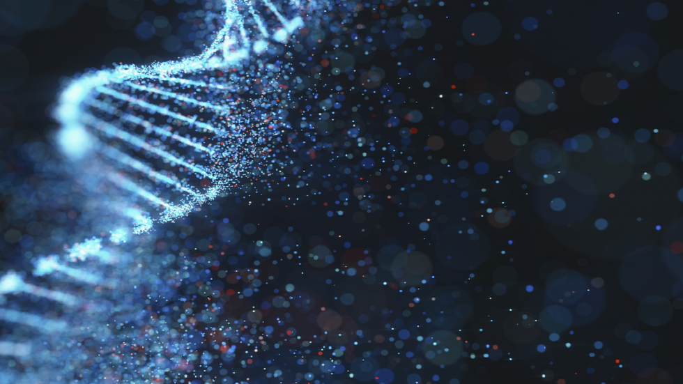 اكتشاف 16 متغيرا وراثيا مرتبطا بالسمنة!