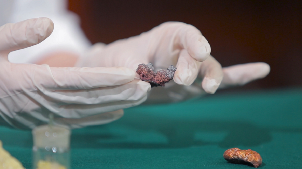 اكتشاف كنز أحفوري في الصين!