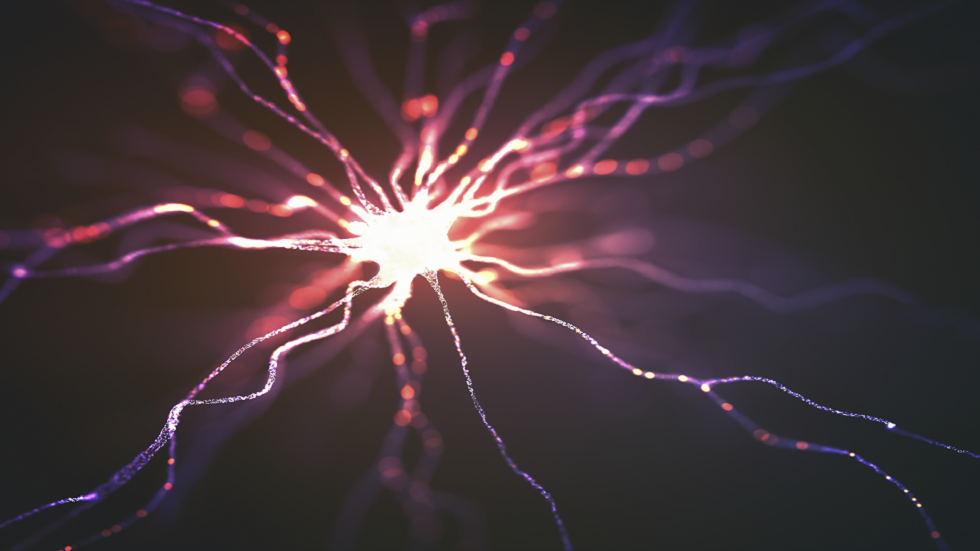 العلماء يكتشفون 