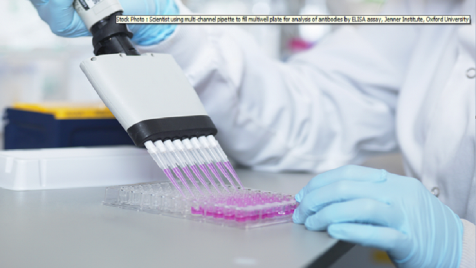 ما الذي يحدد مستوى الأجسام المضادة لدى المتعافين من "كوفيد-19"؟