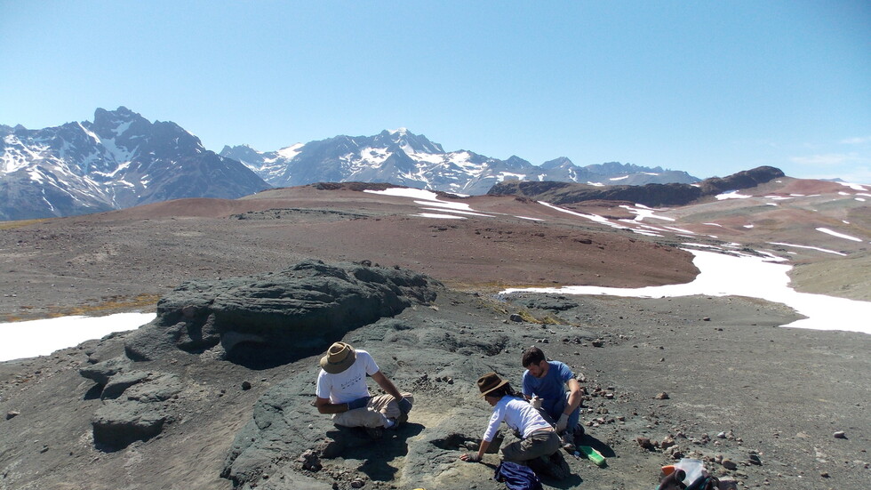 عمره 150 مليون عام.. اكتشاف حفرية "جد" تماسيح العصر الحديث في تشيلي (صورة)