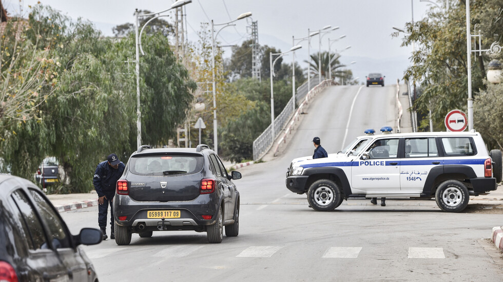 الجزائر.. إحباط تهريب 25 كيلوغراما من حشيشة الكيف نحو تونس