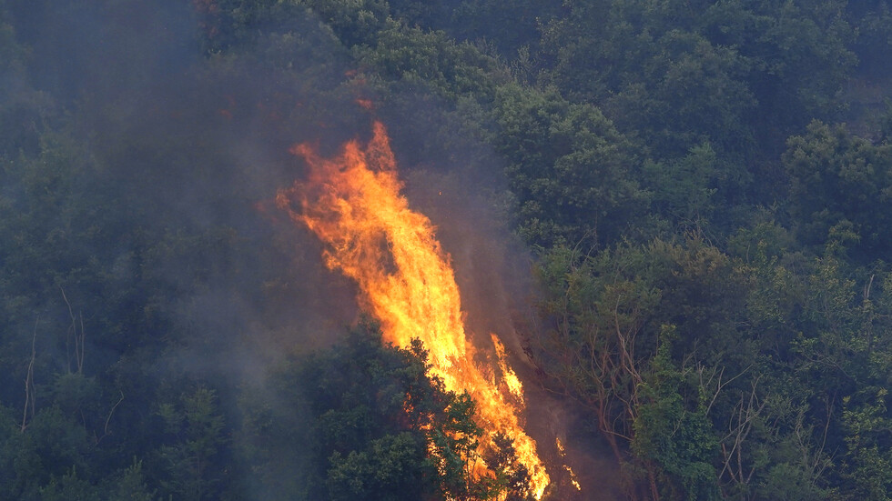 حرائق تجتاح جزيرة سردينيا الإيطالية والحكومة تجلي المواطنين (صور)