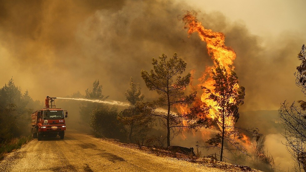 مصر تعزّي تركيا في ضحايا حرائق الغابات