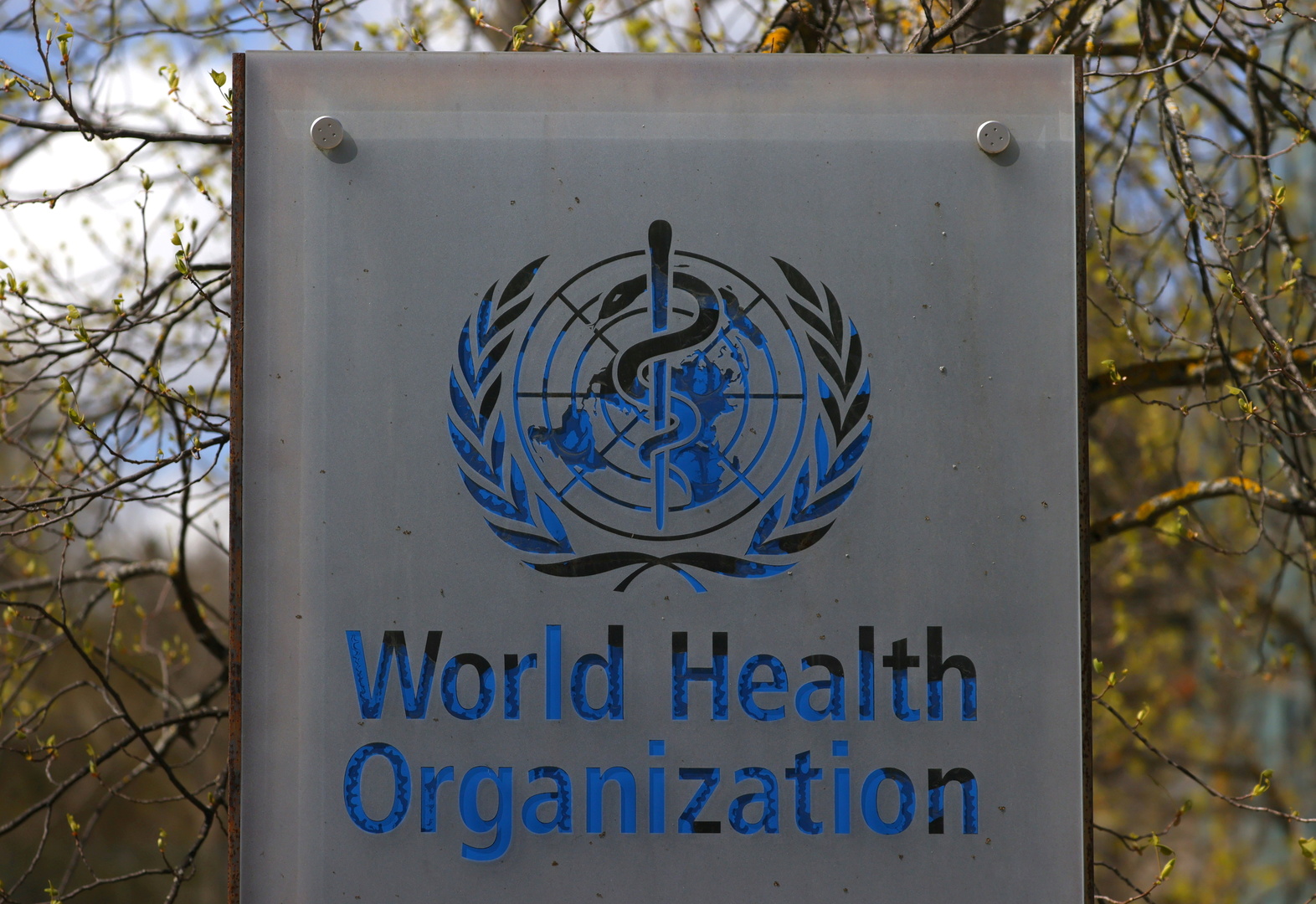 منظمة الصحة العالمية: عدد الإصابات بكوفيد يرتفع مجددا في أوروبا