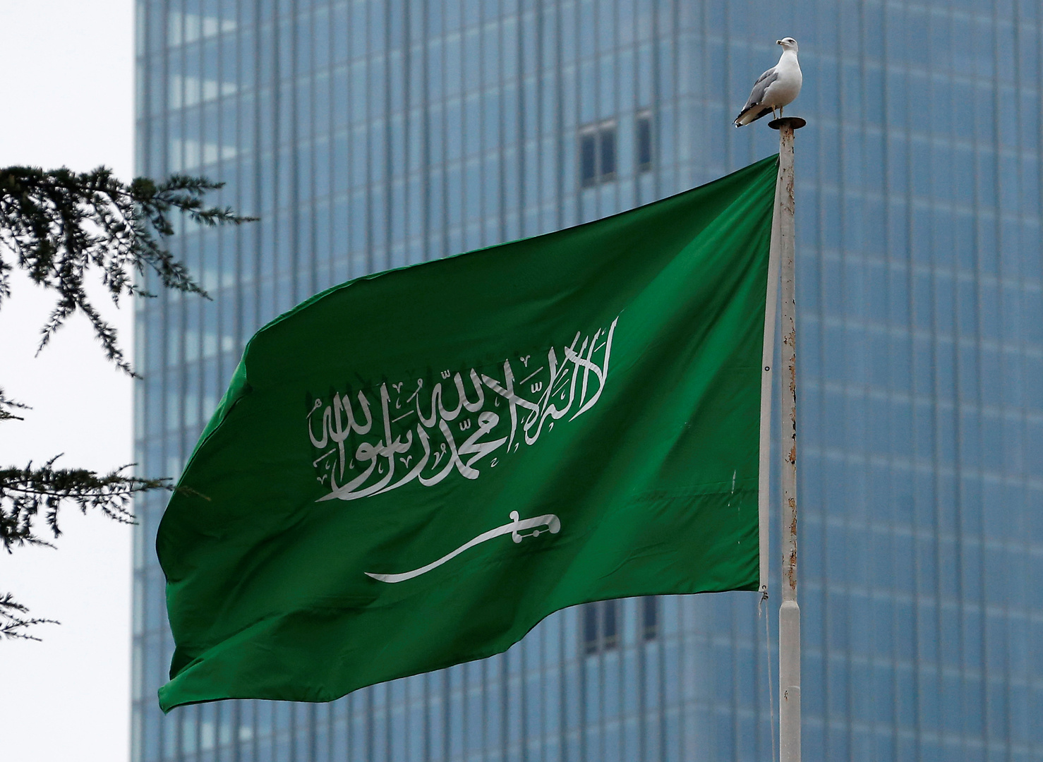 السعودية.. قواعد جديدة للمنشأة الوطنية لدعم الصناعة الخليجية
