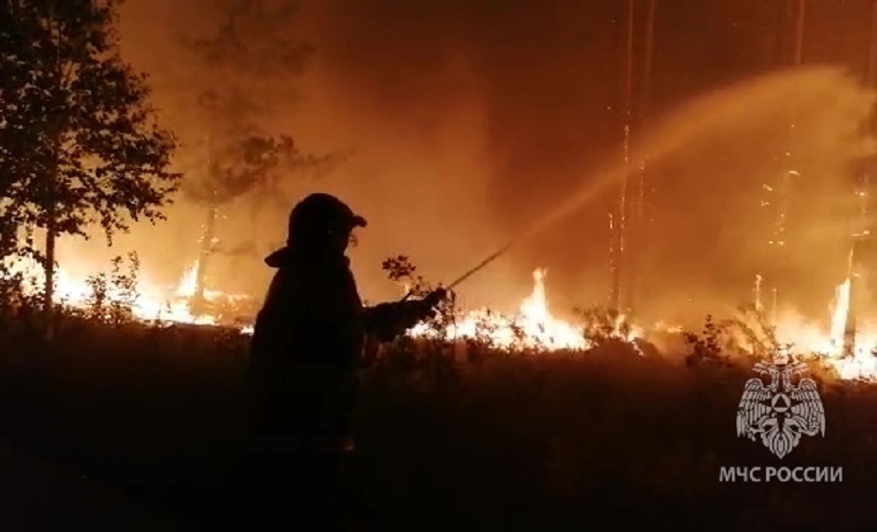 تسجيل أكثر من 550 حريق غابات في روسيا