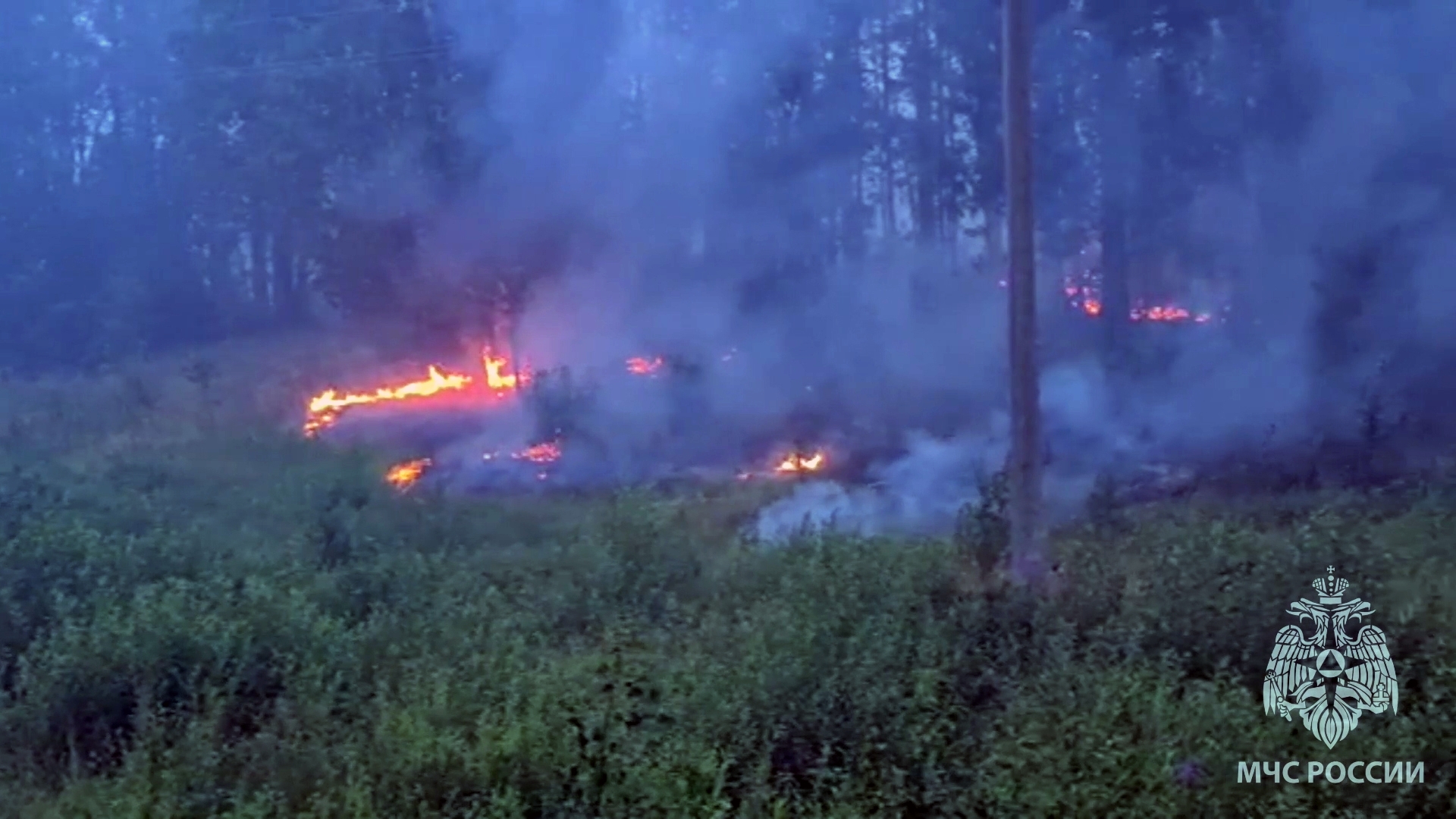 حرائق غابات في جمهورية كاريليا الروسية