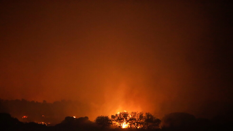 تركيا.. نفوق آلاف رؤوس المواشي جراء حرائق الغابات المستعرة