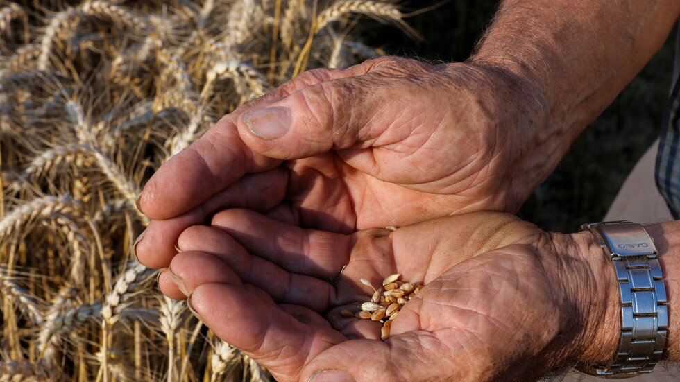 روسيا والبحرين تناقشان التعاون بمجال الأمن الغذائي